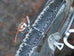 Mica Rat Rack Mica Rat Tail Rack – Mica Cycles